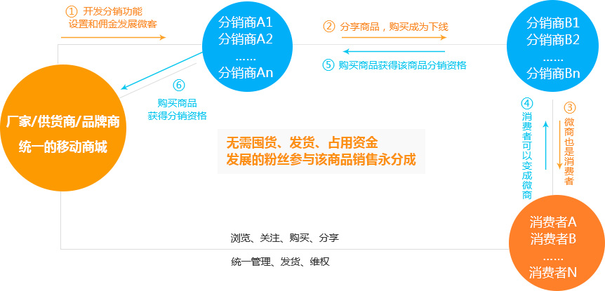 天蠶分銷商城結構圖